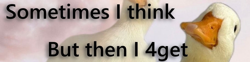 4_nboeck_de__ente.png
