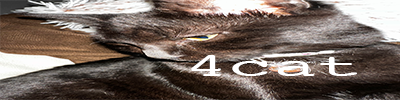 4get_dcs0_hu__4cat.png