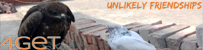 aves_2.png
