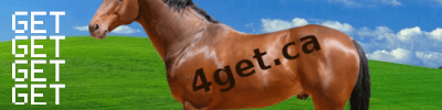 gethorse.png