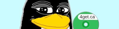 penguin.jpg